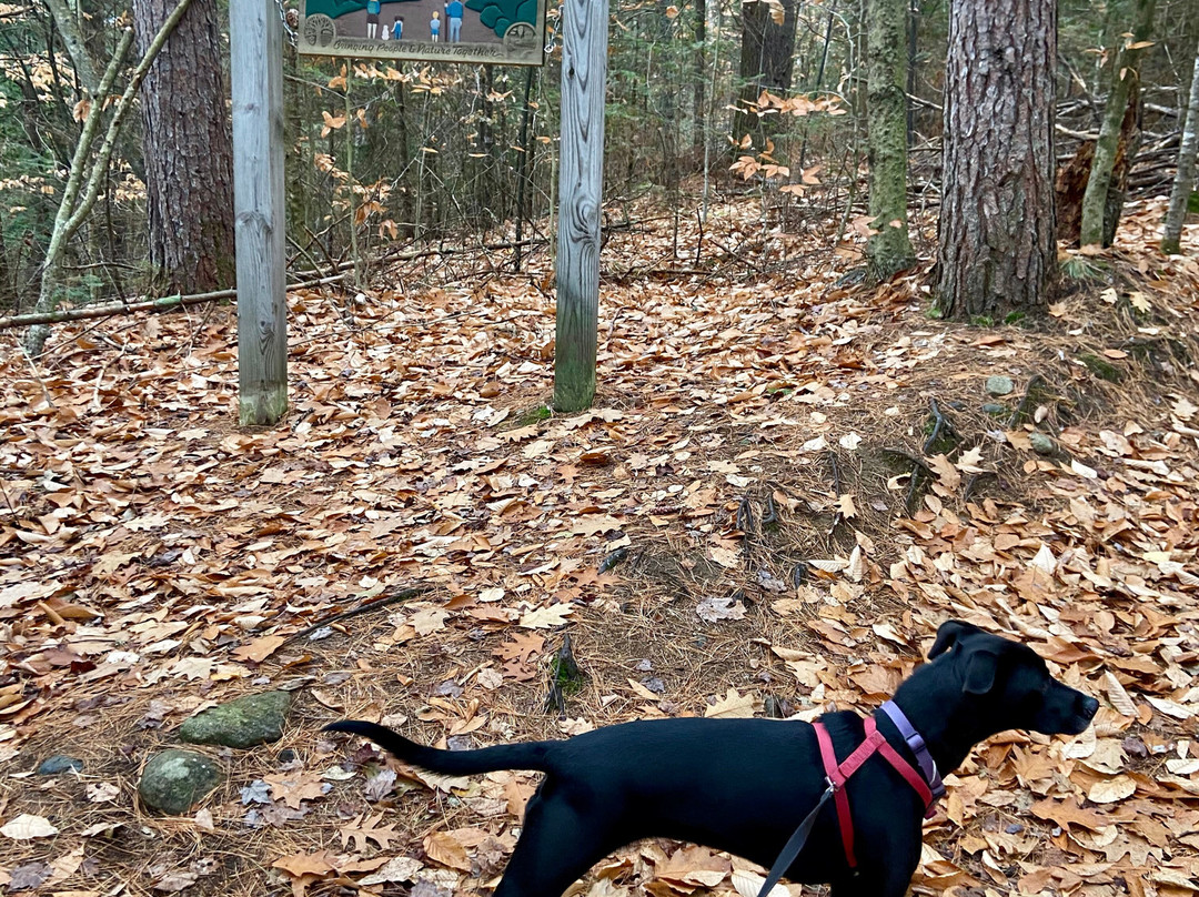 Wrights Mountain-Bradford必去景点