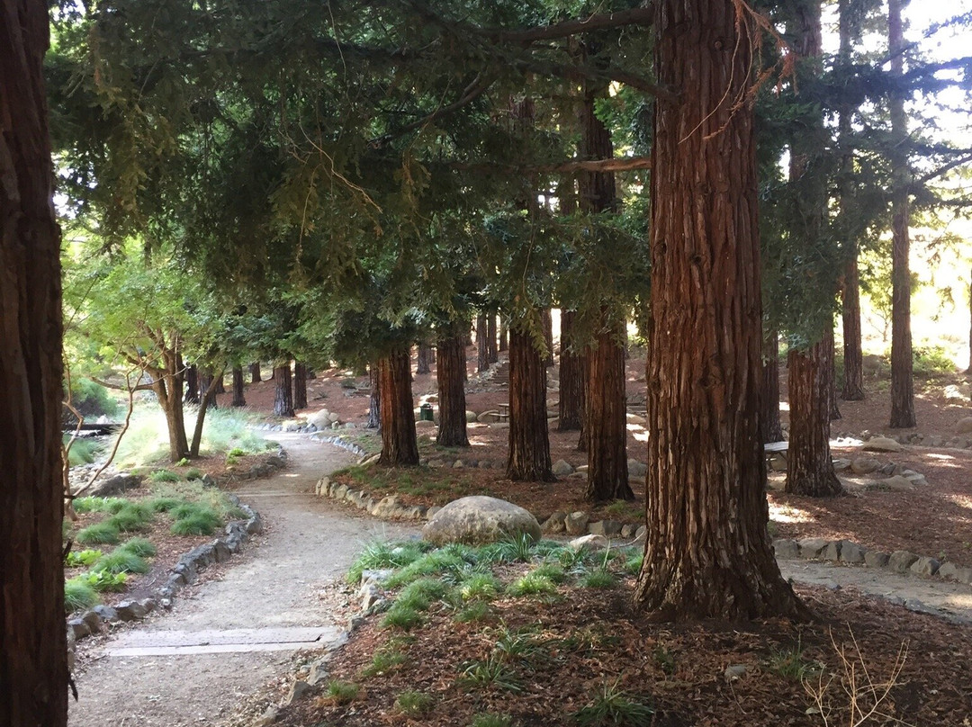 Jack Hume Grove-瓦卡维尔必去景点