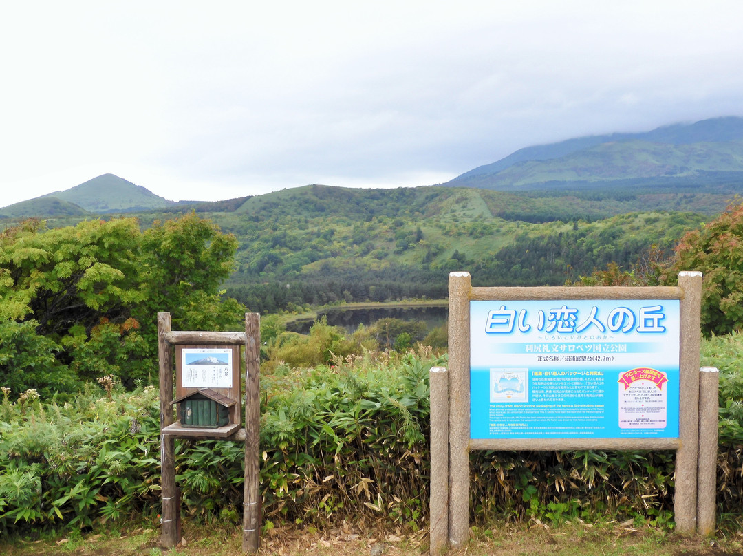 Numaura Observation Deck-利尻富士町必去景点