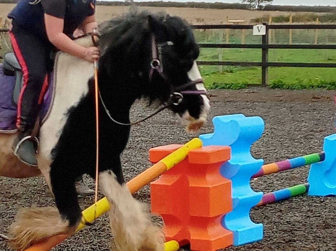 Montys Equestrian Centre景点图片