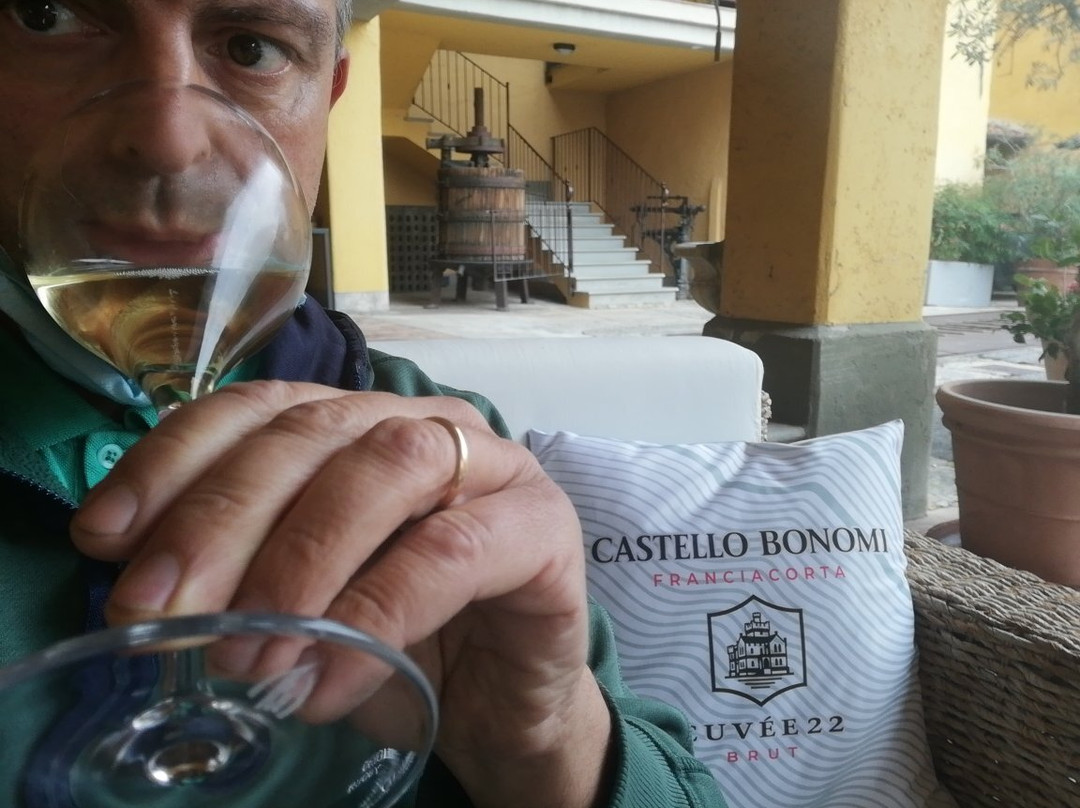Castello Bonomi景点图片