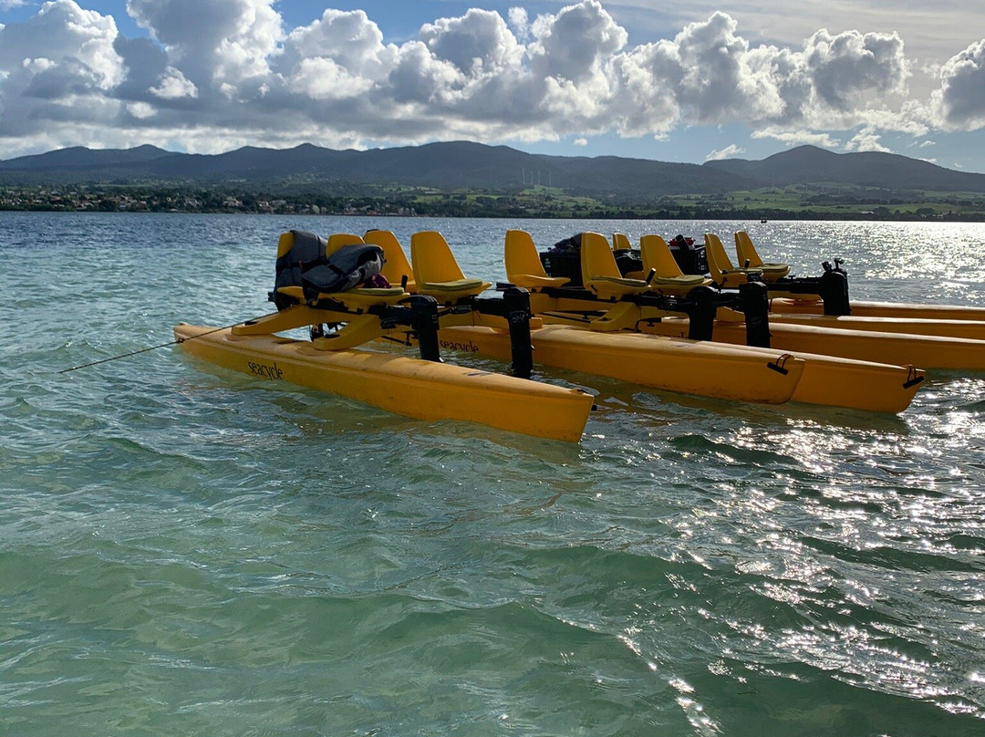 Mangrov Eco Tour-Sainte Rose必去景点