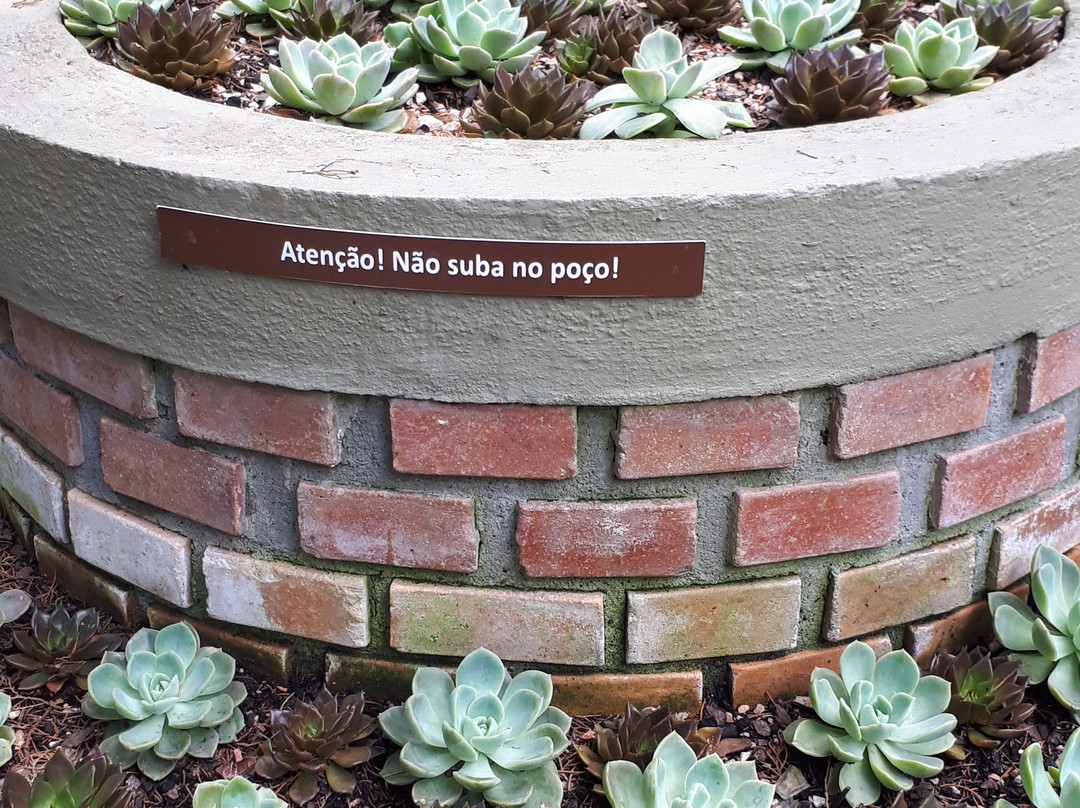 Jardim das Sensações-库里提巴必去景点