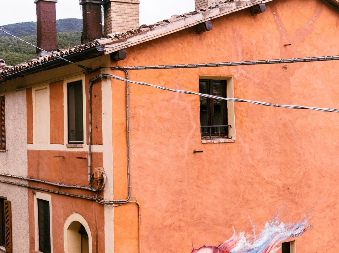 I Murales di Braccano景点图片