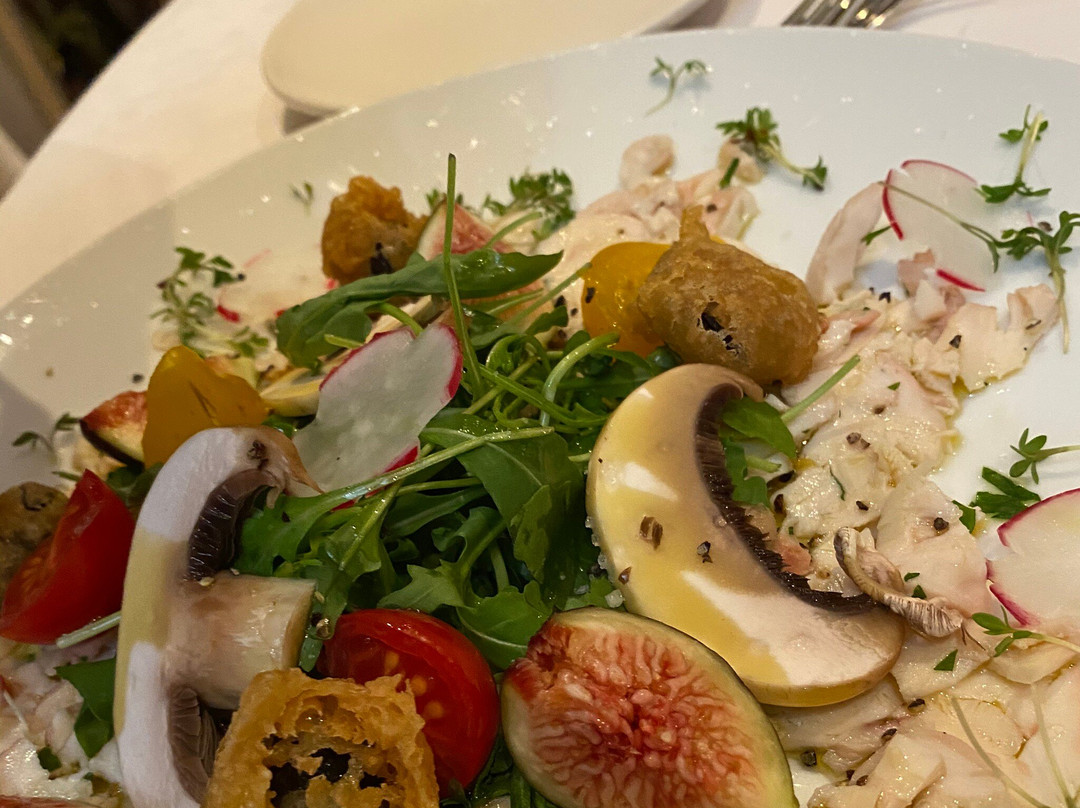 Dachstein旅游攻略图片