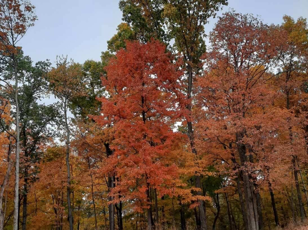 Morgan's Outdoor Adventures-Oregonia必去景点