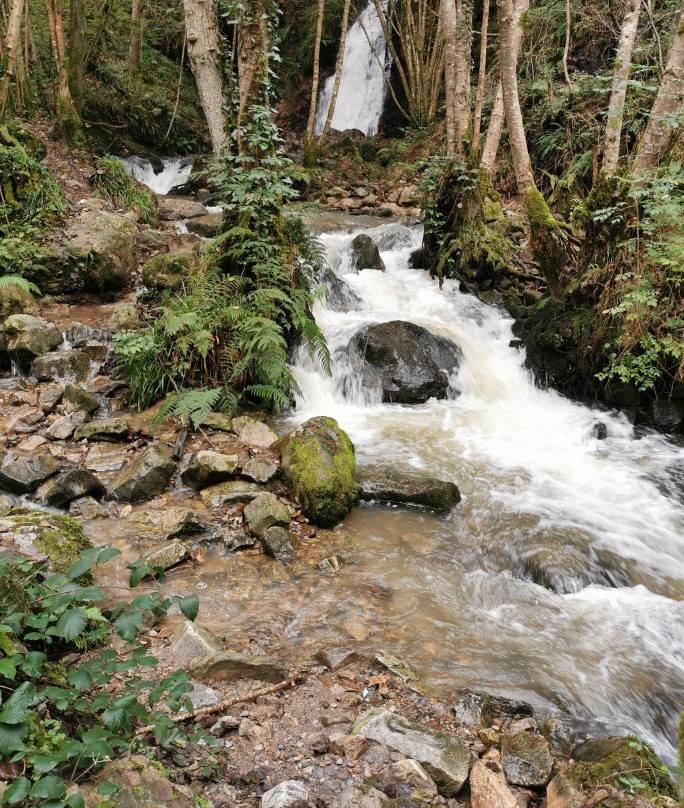 Ruta a la Cascada del Nonaya景点图片