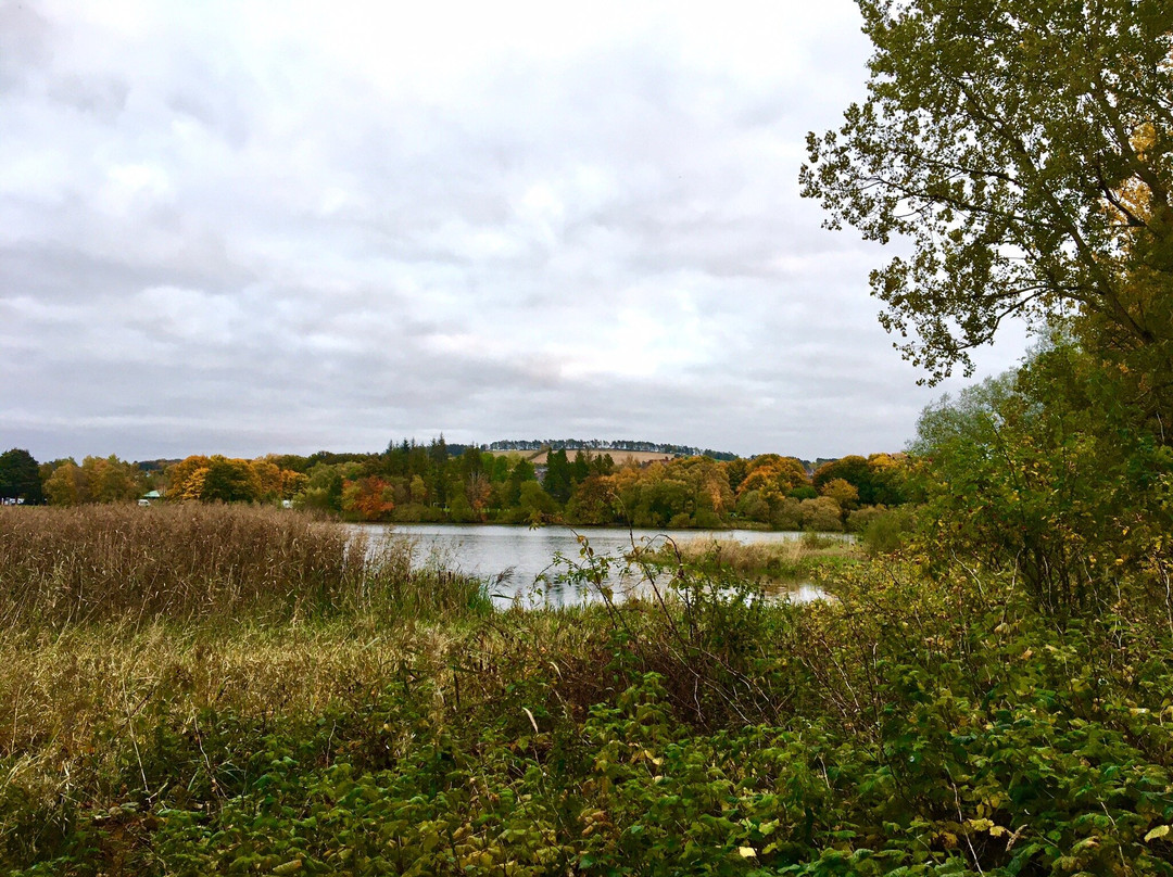 Loch Of Forfar-Forfar必去景点