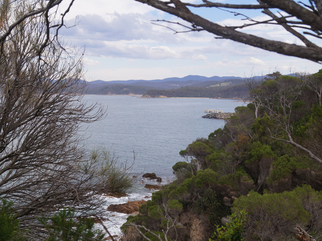 Eden Lookout and Rotary Park景点图片