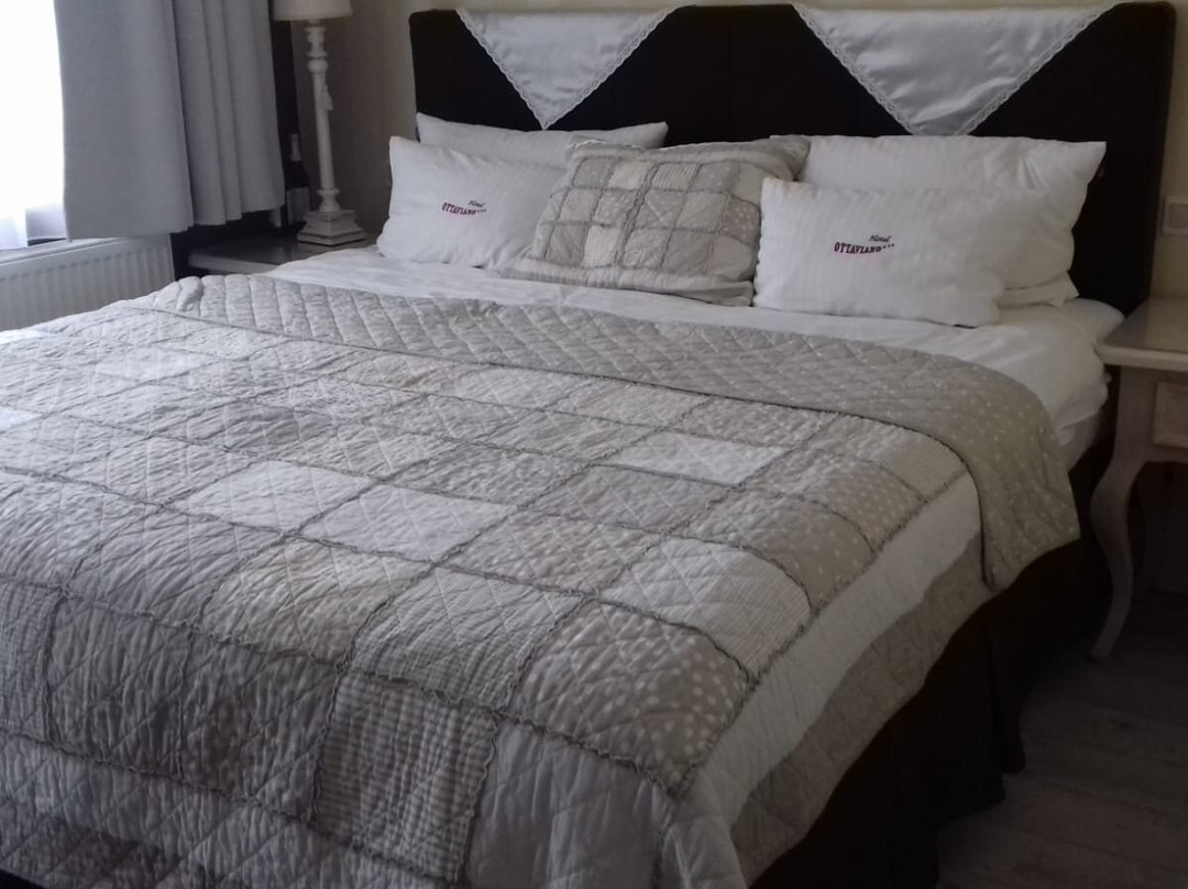 Hotel Ottaviano主图