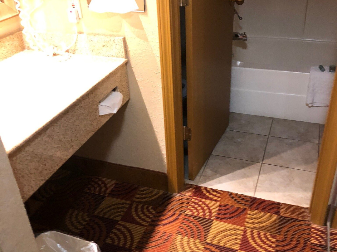 Best Western Martinsville Inn主图