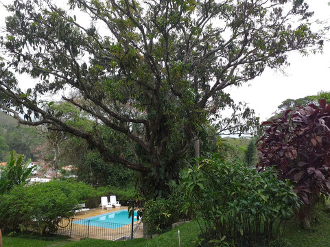 Pousada Jardim Secreto主图