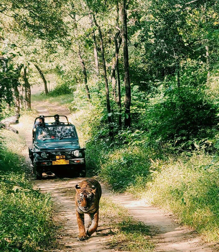 Ranthambhore Tiger Reserve景点图片