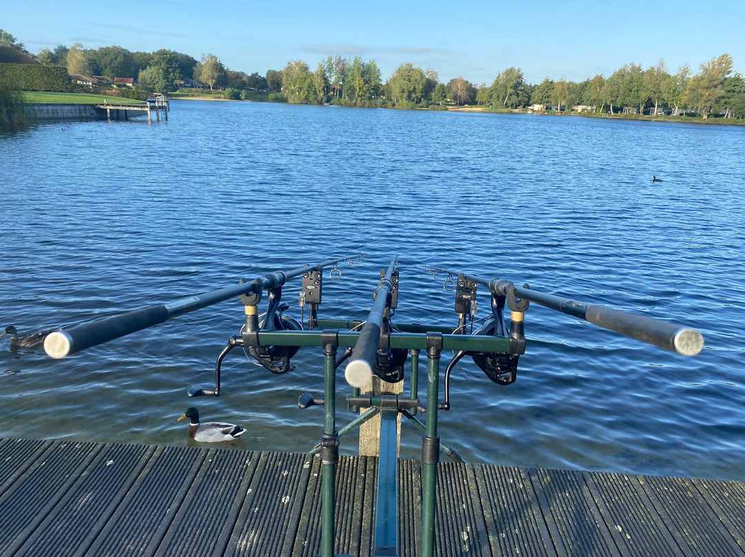 Daarle旅游攻略图片