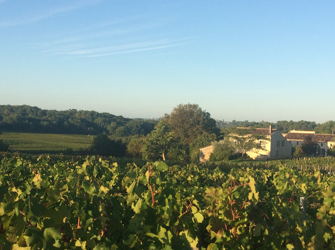 Clos Vieux Rochers景点图片