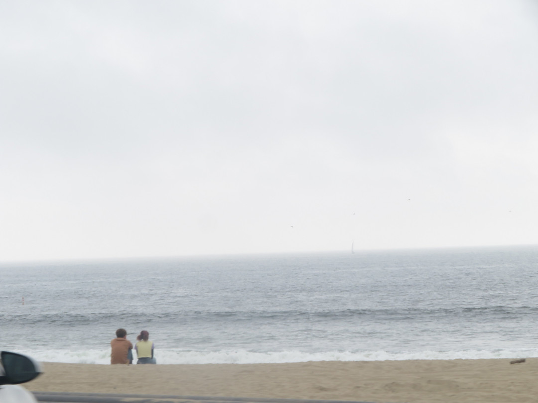 Twin Lakes State Beach-圣克鲁斯必去景点