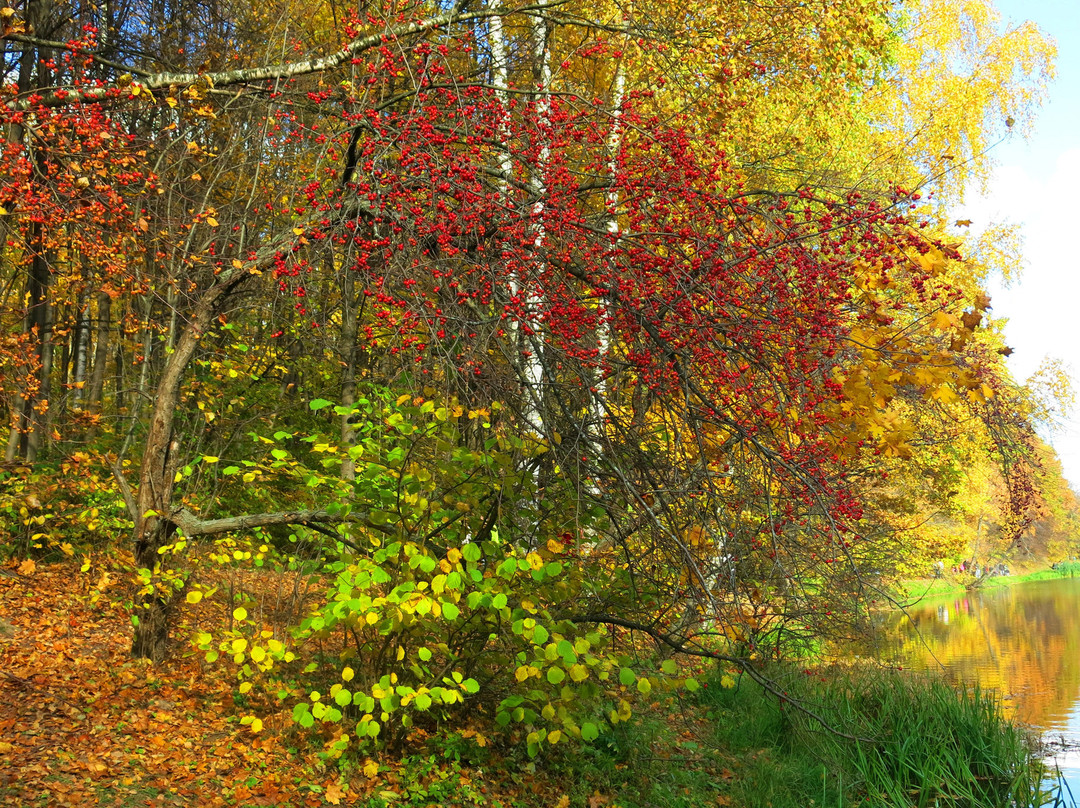 Beach on Shhelokovskiy Khutor-下诺夫哥罗德必去景点