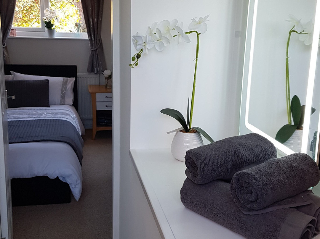 Debonair BnB @33主图