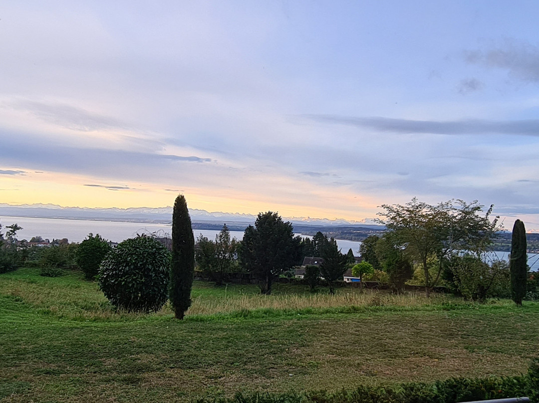 Parkhotel St. Leonhard主图