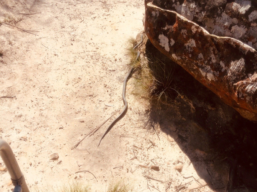 Anvil Rock Lookout景点图片