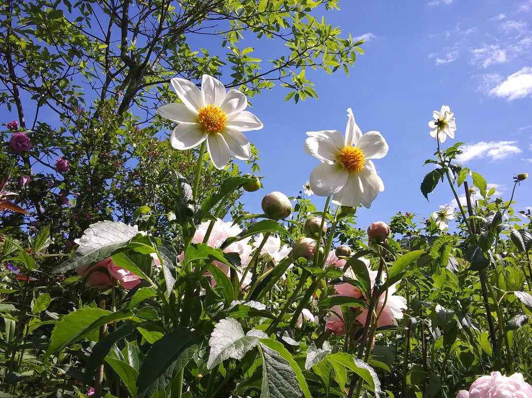 Hollister House Garden-Washington必去景点