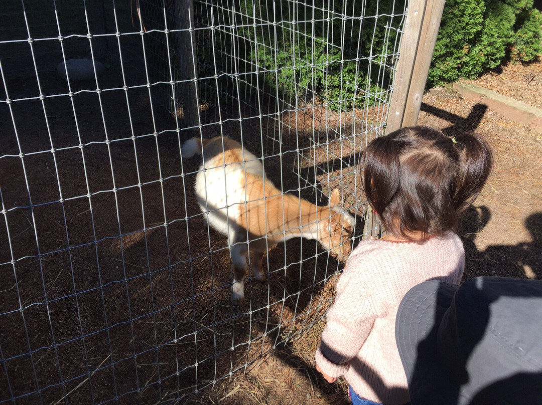 The Farm at Swan's Trail-Snohomish必去景点
