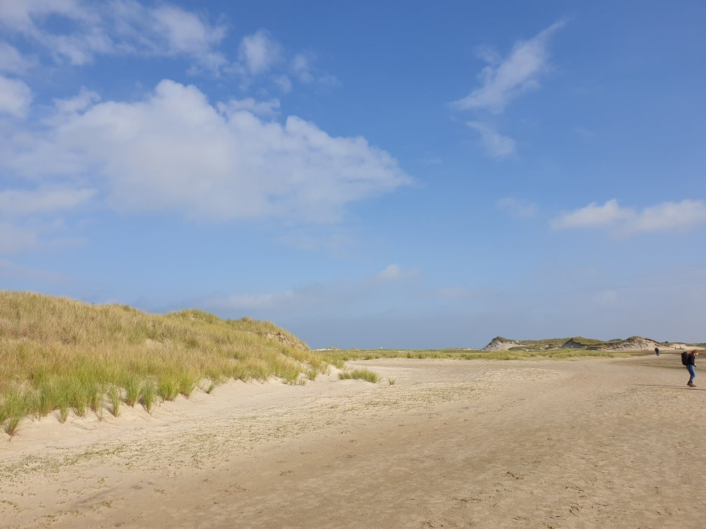 Das Wrack am Ostende-诺德奈必去景点