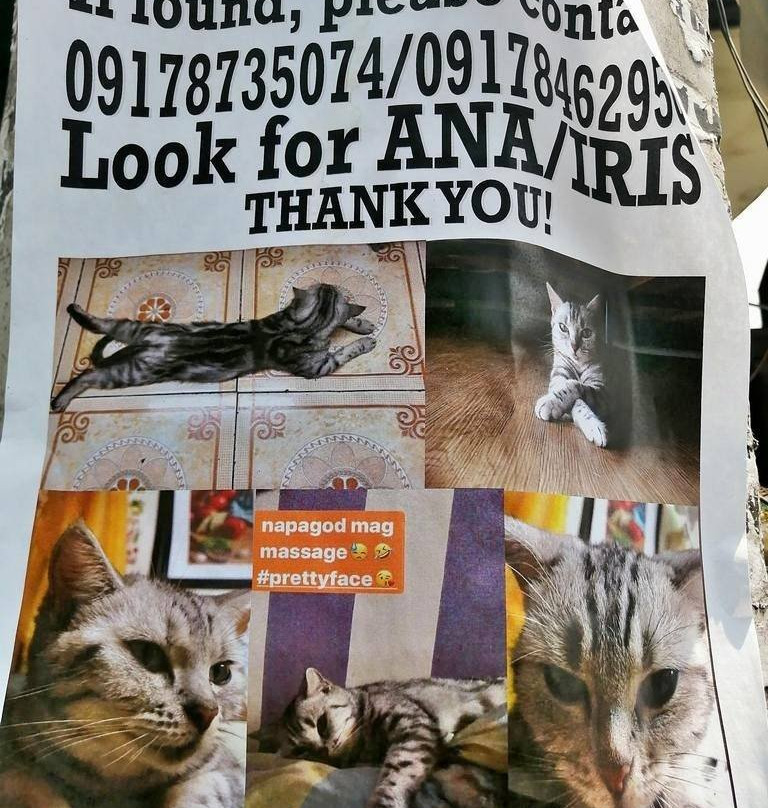 Cartimar-帕塞必去景点