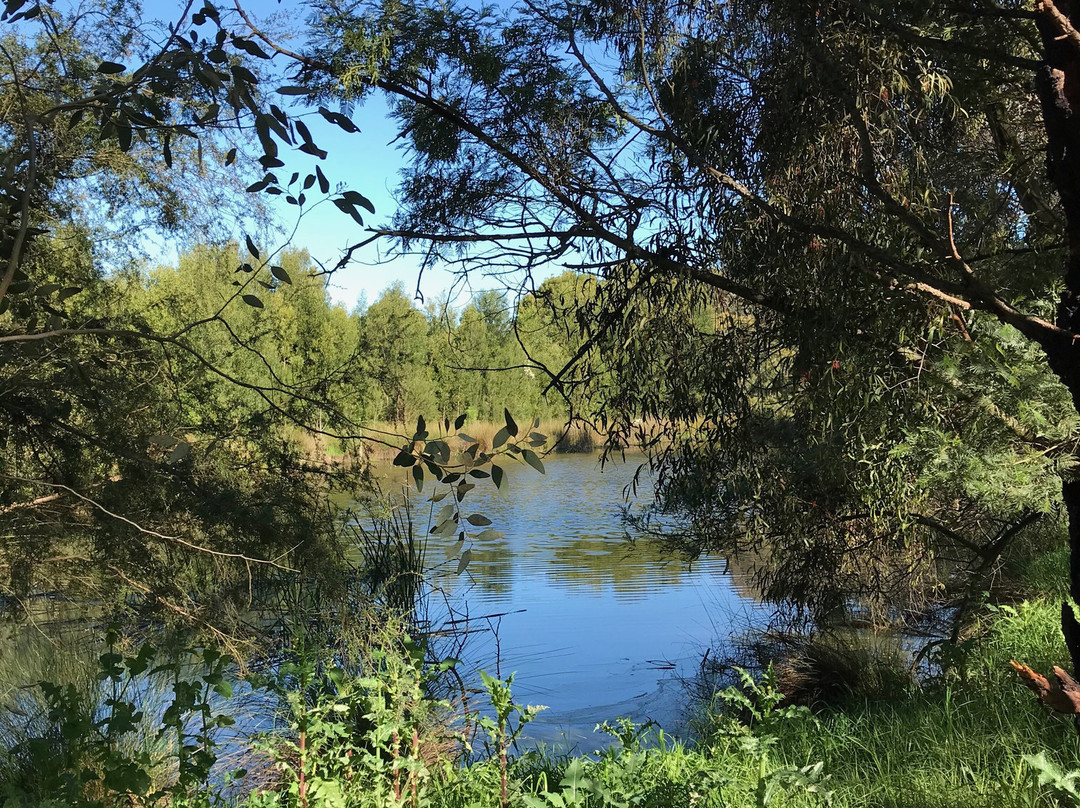 Heyfield Wetlands Information Centre-Heyfield必去景点
