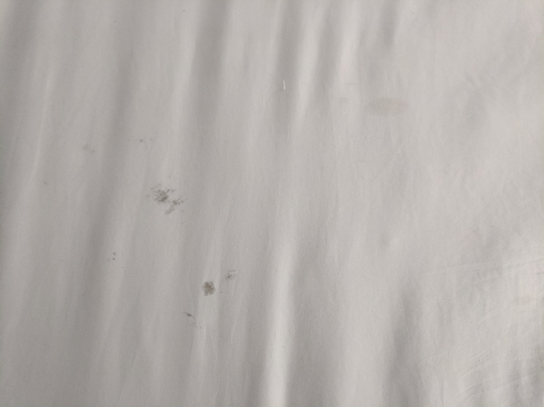 Quality Inn of Byron主图