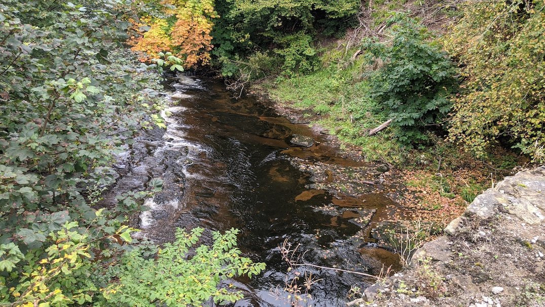 Ardoch Old Bridge-Braco必去景点
