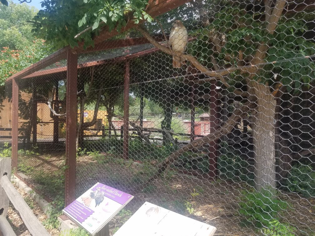 Hutchinson Zoo-Hutchinson必去景点