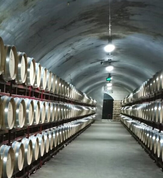 张裕酒文化博物馆-烟台市必去景点