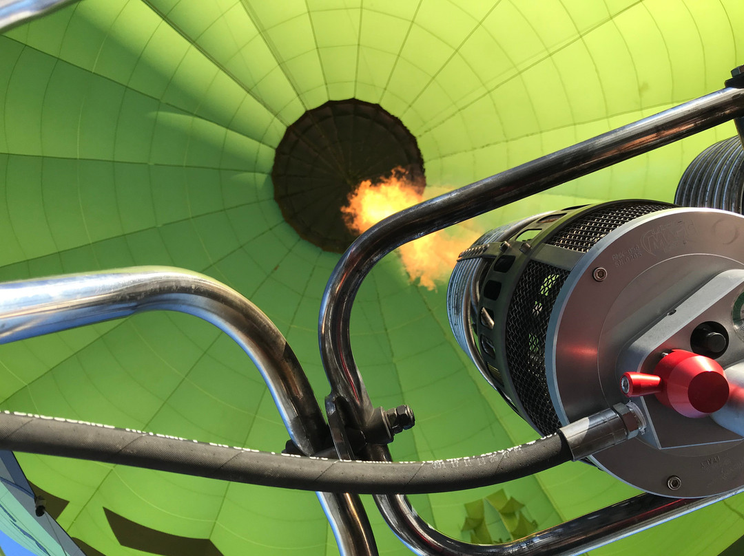 Aircat-维克必去景点