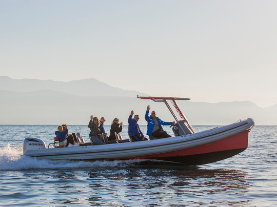 South Tours Croatia-斯普利特必去景点