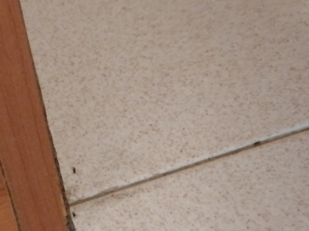 Hotel Ali sul Lago主图