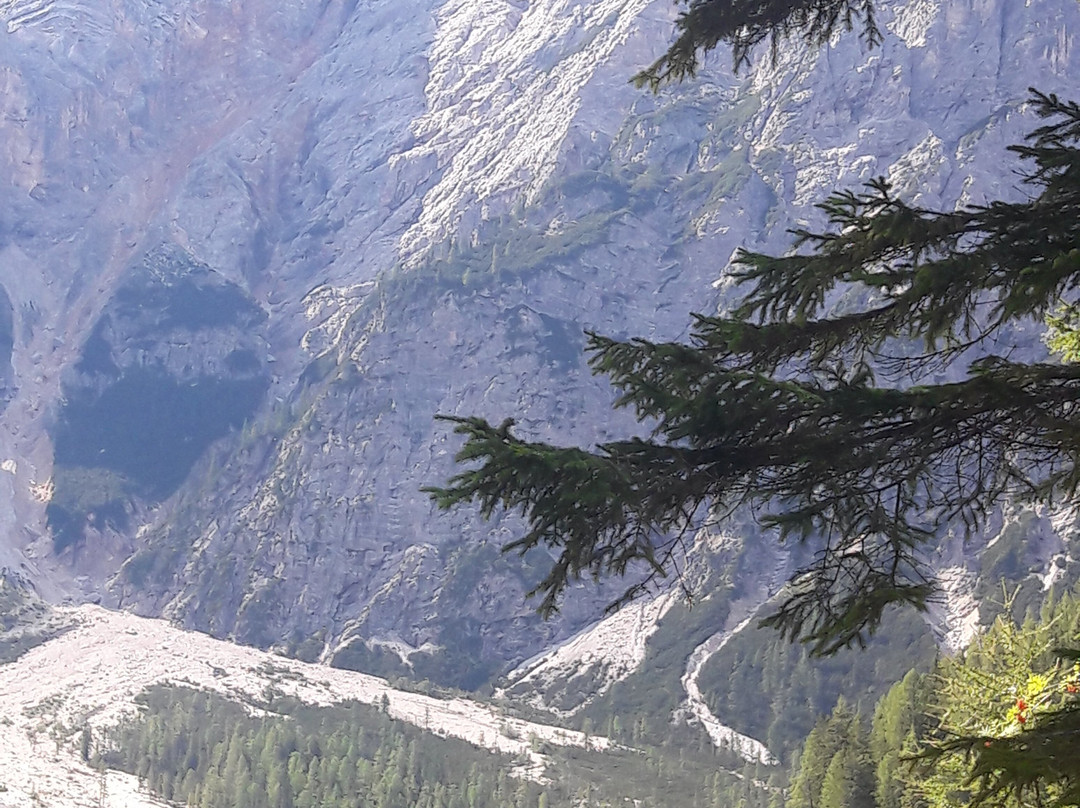 Residence Montana主图