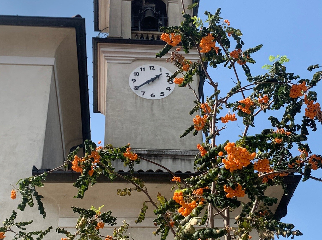 Chiesa della Madonna Immacolata e dei SS. Francesco e Antonio景点图片