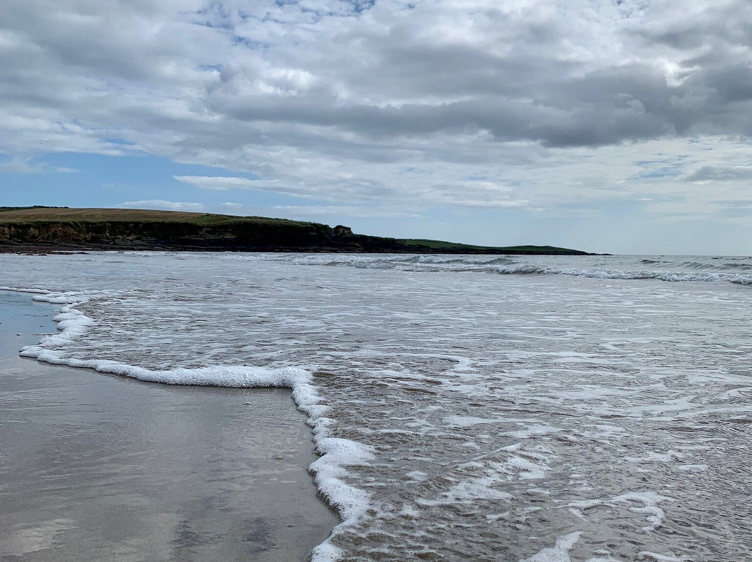 Garrylucas Beach-Old Head必去景点
