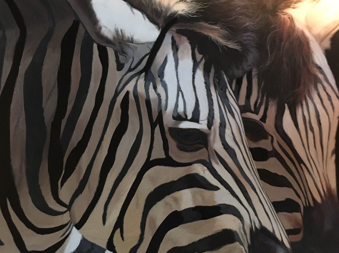 Boyden House Inn主图