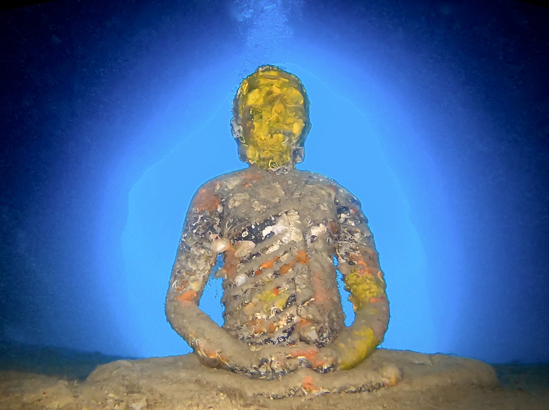 Indigo Dive Mondragó-Cala Mondrago必去景点