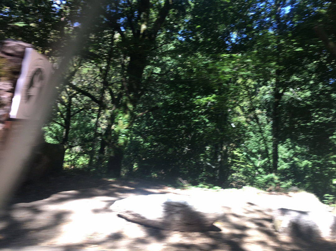 Cascata da Portela do Homem-格里斯必去景点