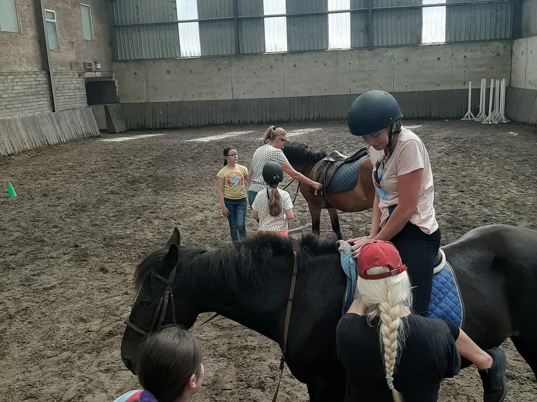 Tralee Equestrian Centre-特拉利必去景点