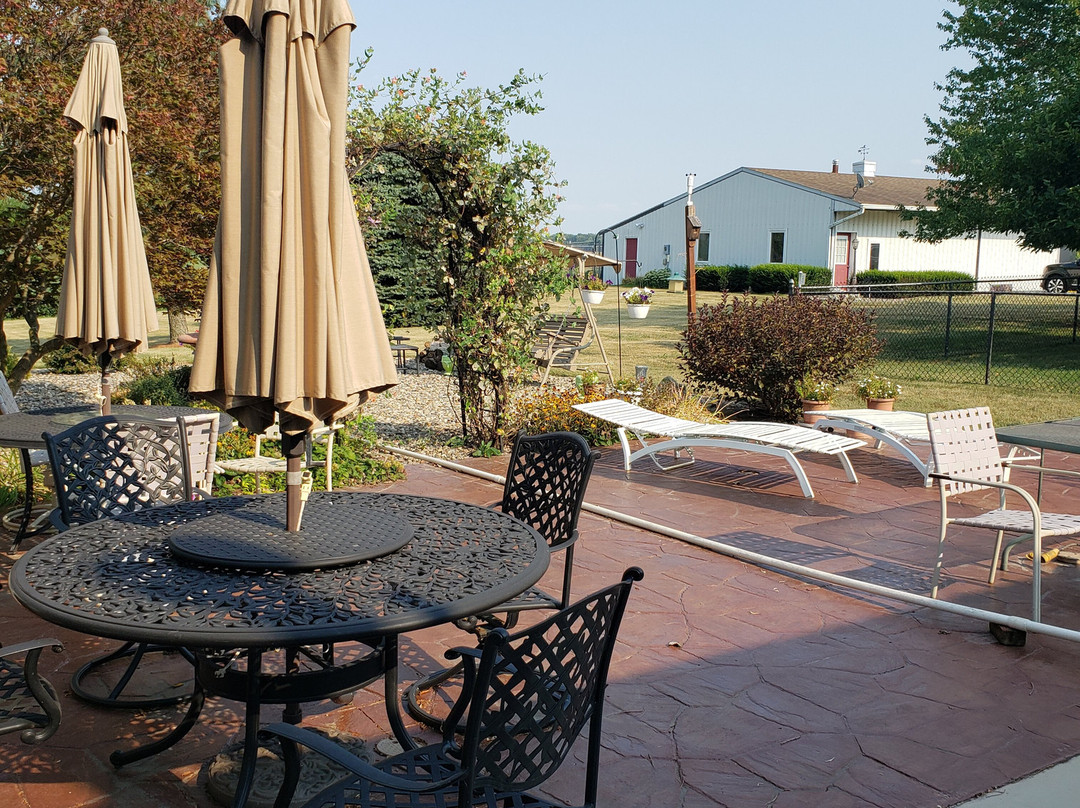 Scottish Bed & Breakfast主图