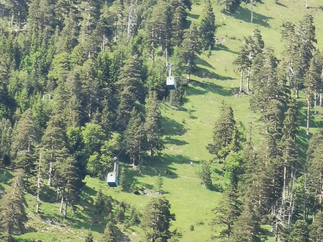 Herzogstandbahn-Walchensee必去景点