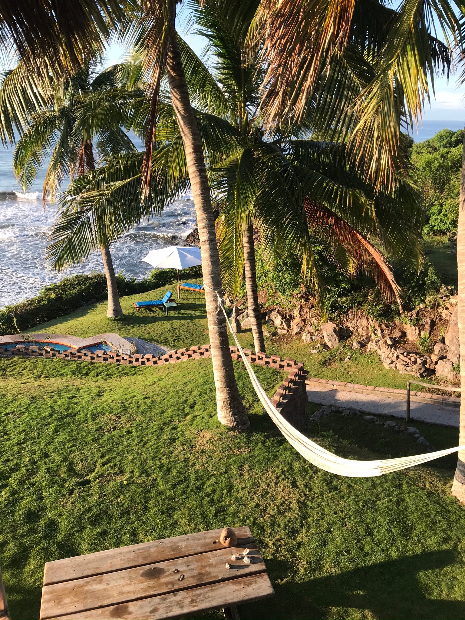 Coconuts by the Sea-官方