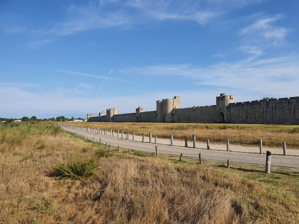 Camargue Decouverte-艾格莫尔特必去景点