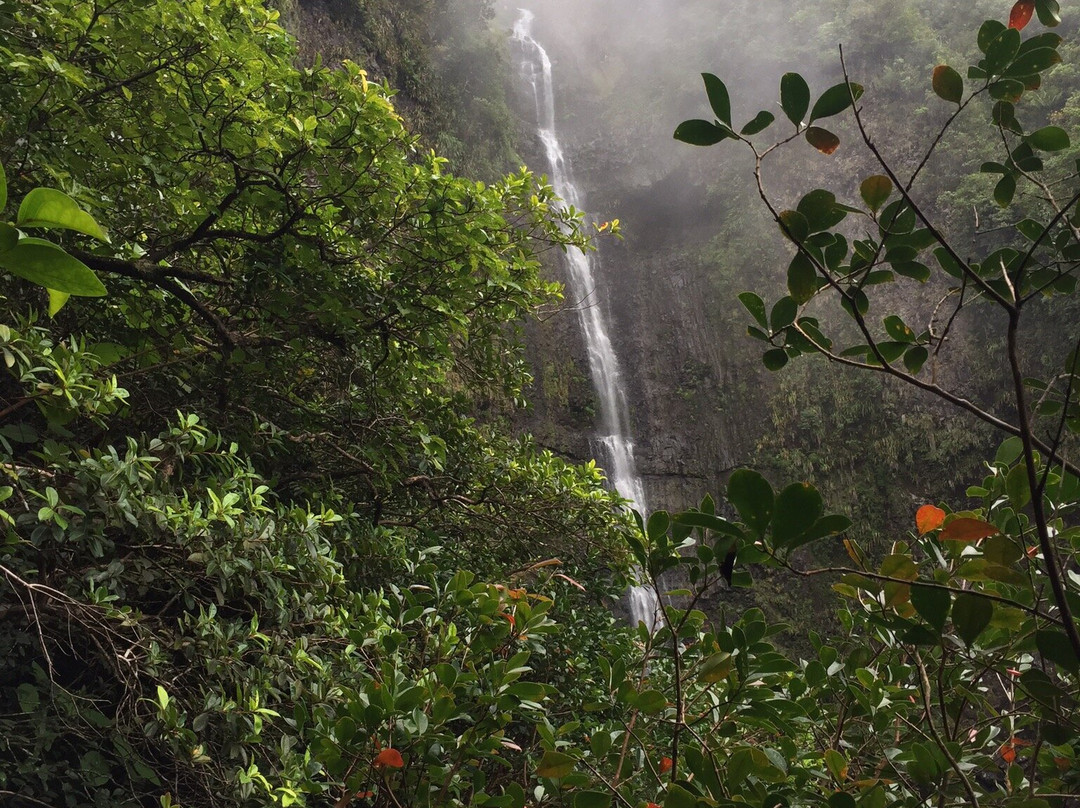 Les Cascades de Takamaka景点图片