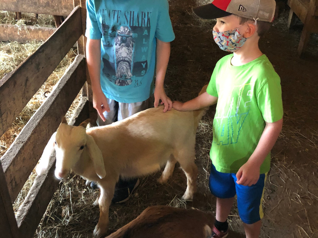 Groovy Goat Farm & Soap Company-Ingonish必去景点