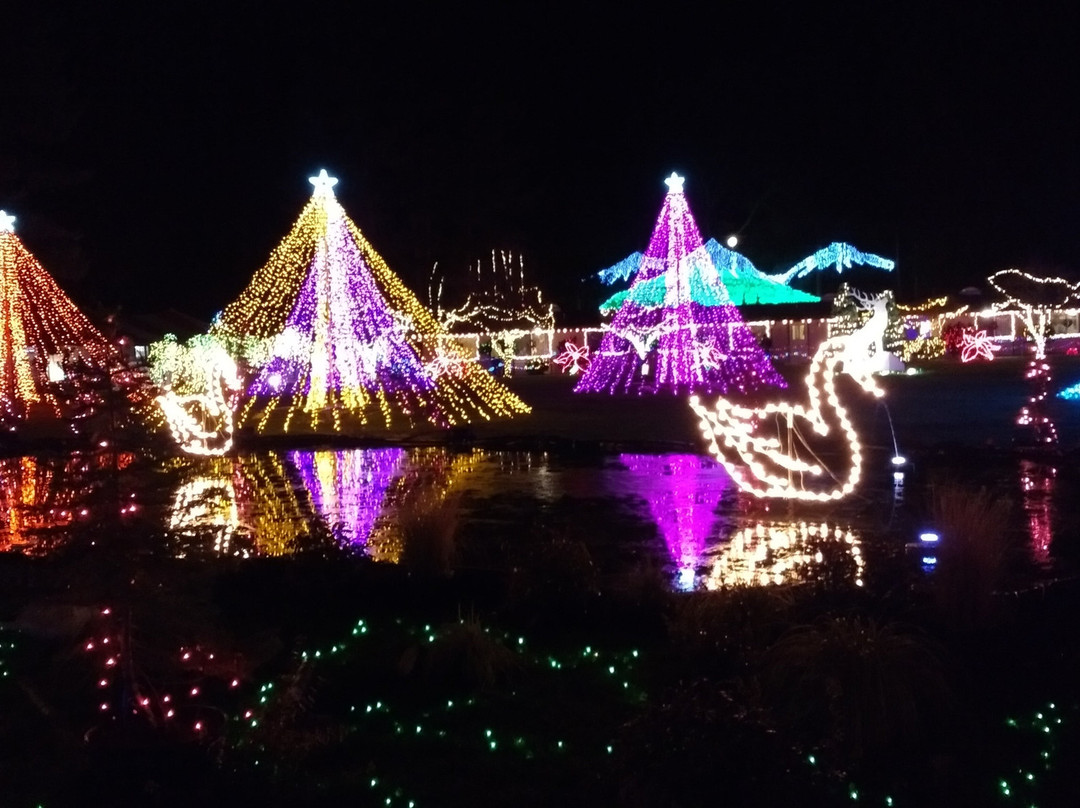 The Lights of Christmas-Stanwood必去景点